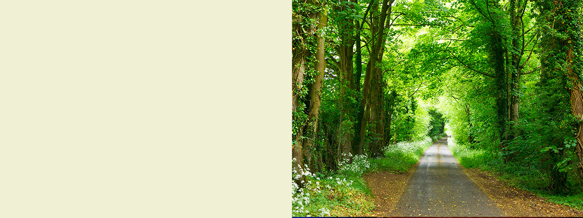 Hypnosis banner